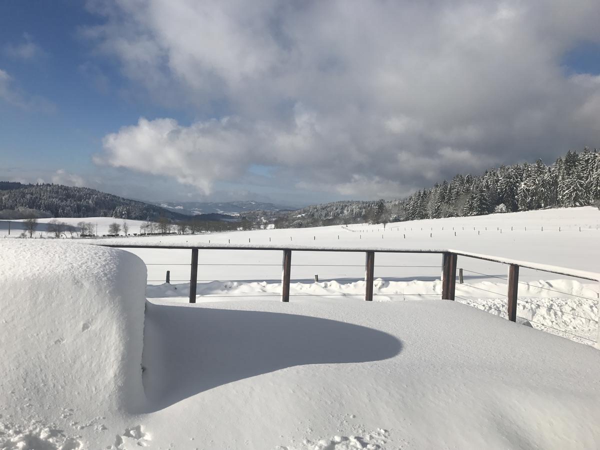 Resort Pasečná - Lipno Přední Výtoň Exteriér fotografie